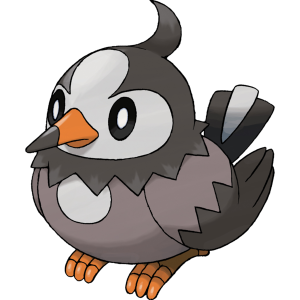 Picture shows Starly, a pathetic looking Pokémon.